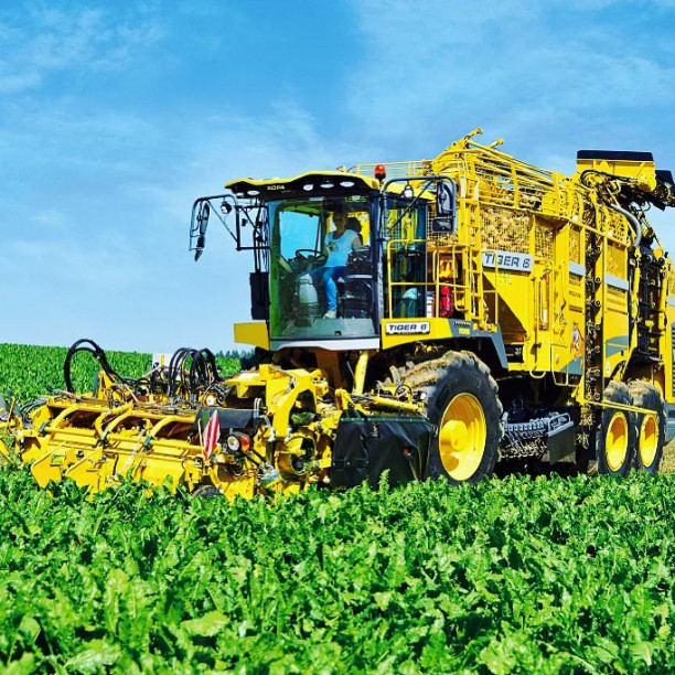 Белджидисервис