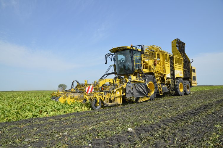 ROPA euro-Tiger V8-4